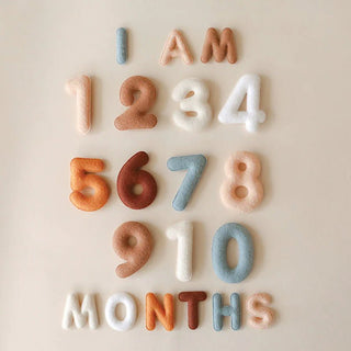 Monthly Milestone Felt Letters - Milestone- Lucy Darling