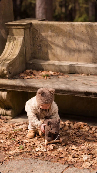 Pull - Along Raoul - Toys - Egmont