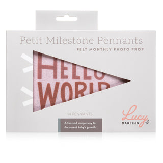 Petit Milestone Pennants - Milestone- Lucy Darling