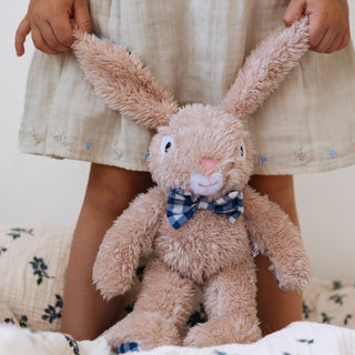 Louis Rabbit - Plush Toy - and the little dog laughed