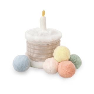 CAKE & TOSS CELEBRATION BIN - Toys- Little Lamb Kind