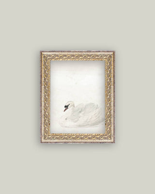Swan Framed Art Print - Art Print - Other Brands We Love