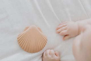 Silicone Seashell Teether - Teether- Woven Kids