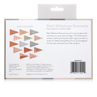 Petit Milestone Pennants - Milestone- Lucy Darling